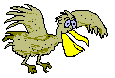 bird