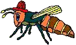 cartoon bee