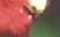 part of