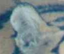 part of