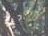 part of